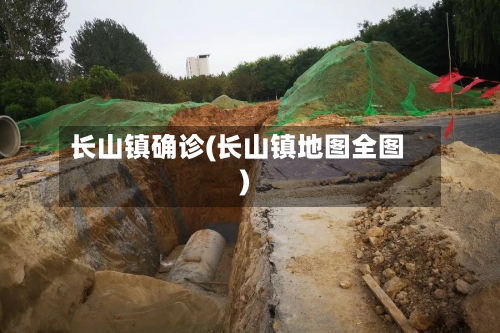 长山镇确诊(长山镇地图全图)