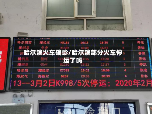 哈尔滨火车确诊/哈尔滨部分火车停运了吗-第3张图片