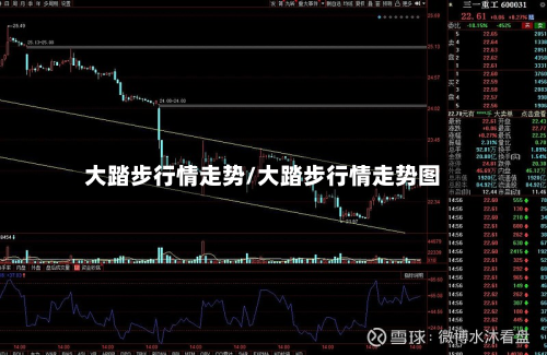 大踏步行情走势/大踏步行情走势图-第2张图片