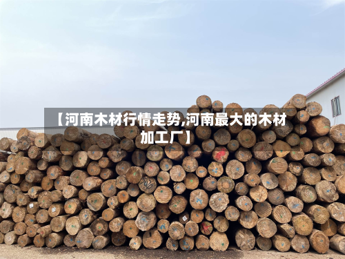 【河南木材行情走势,河南最大的木材加工厂】