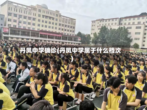 丹凤中学确诊(丹凤中学属于什么档次)
