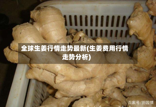 全球生姜行情走势最新(生姜费用行情走势分析)