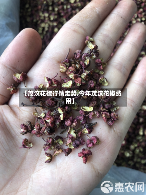 【茂汶花椒行情走势,今年茂汶花椒费用】