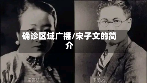 确诊区域广播/宋子文的简介