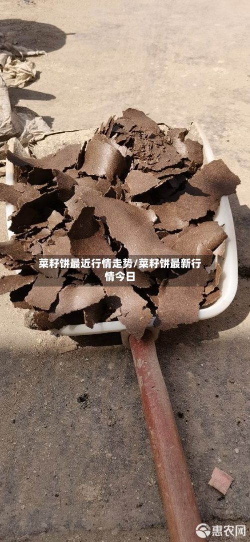 菜籽饼最近行情走势/菜籽饼最新行情今日
