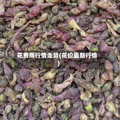 花费用行情走势(花价最新行情)-第3张图片
