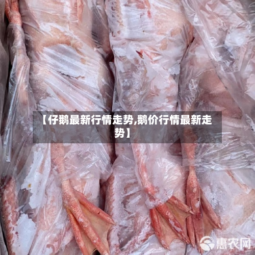 【仔鹅最新行情走势,鹅价行情最新走势】-第2张图片