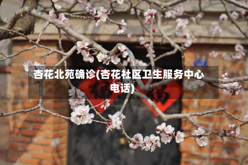 杏花北苑确诊(杏花社区卫生服务中心电话)-第3张图片