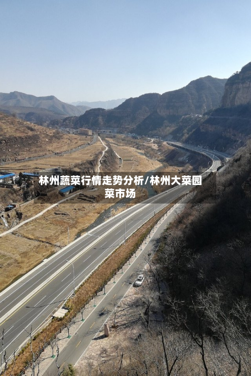 林州蔬菜行情走势分析/林州大菜园菜市场-第2张图片