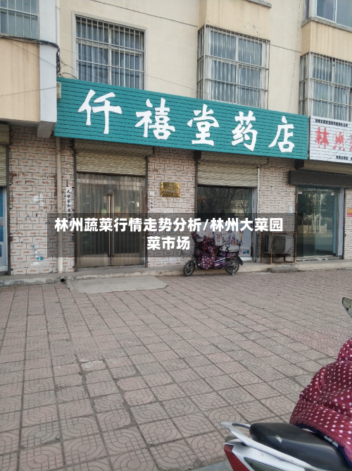 林州蔬菜行情走势分析/林州大菜园菜市场