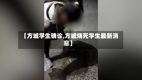 【方城学生确诊,方城烧死学生最新消息】