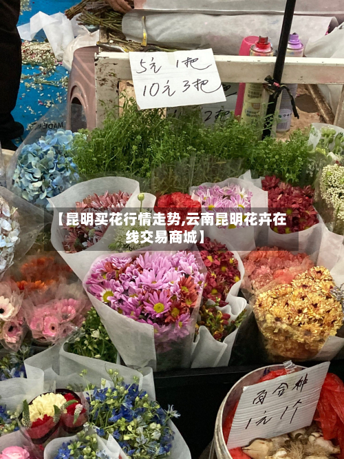 【昆明买花行情走势,云南昆明花卉在线交易商城】-第2张图片