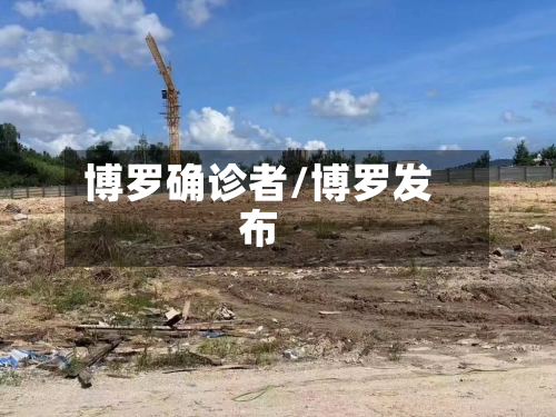 博罗确诊者/博罗发布