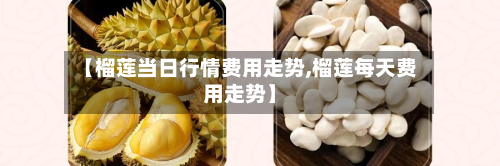 【榴莲当日行情费用走势,榴莲每天费用走势】-第2张图片