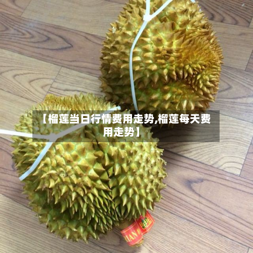 【榴莲当日行情费用走势,榴莲每天费用走势】