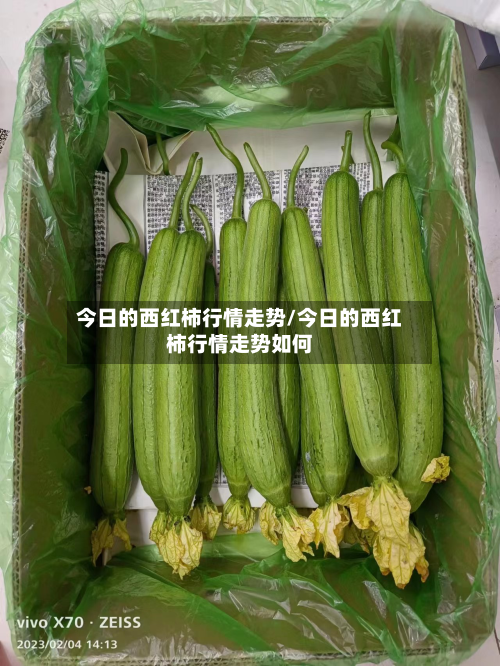今日的西红柿行情走势/今日的西红柿行情走势如何-第2张图片