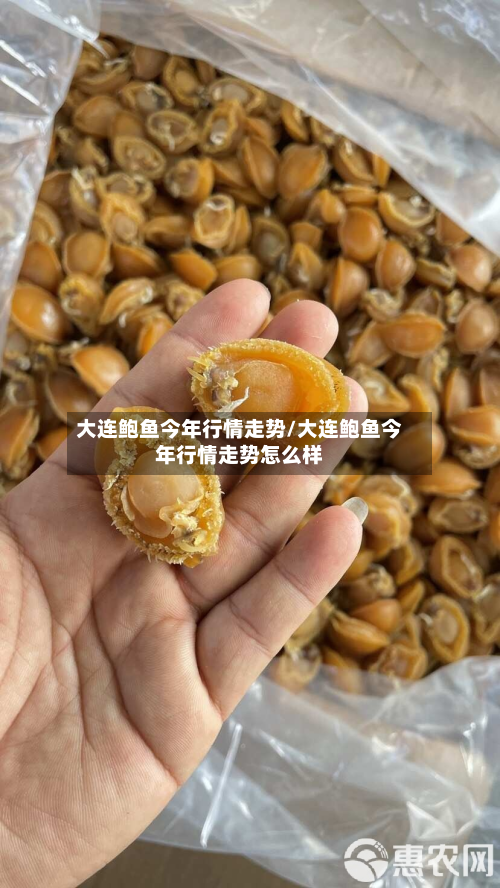 大连鲍鱼今年行情走势/大连鲍鱼今年行情走势怎么样-第2张图片