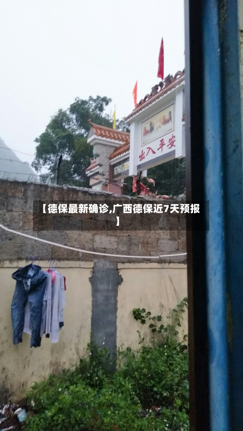 【德保最新确诊,广西德保近7天预报】-第3张图片