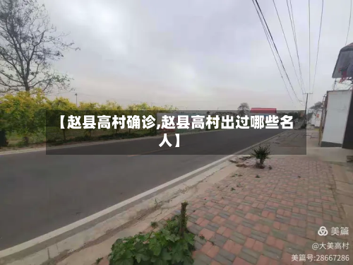 【赵县高村确诊,赵县高村出过哪些名人】-第3张图片