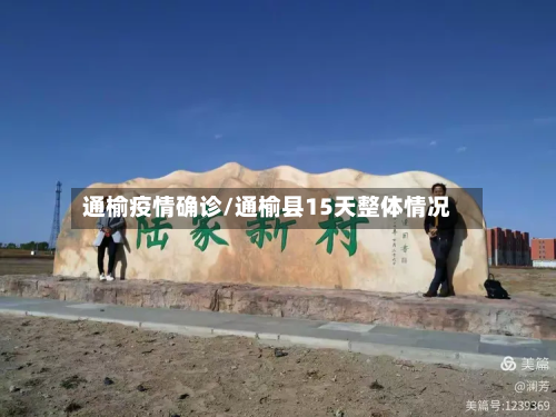 通榆疫情确诊/通榆县15天整体情况-第3张图片