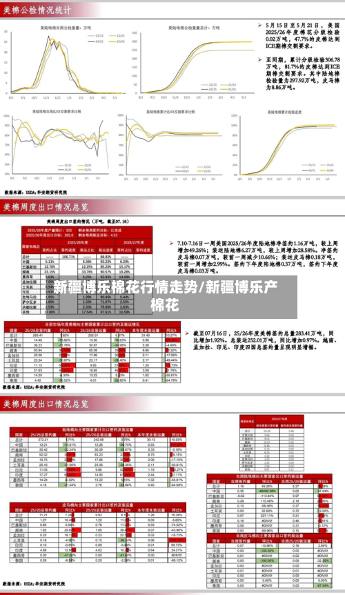 新疆博乐棉花行情走势/新疆博乐产棉花