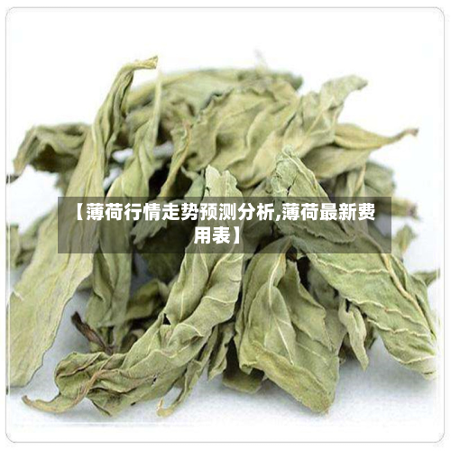 【薄荷行情走势预测分析,薄荷最新费用表】