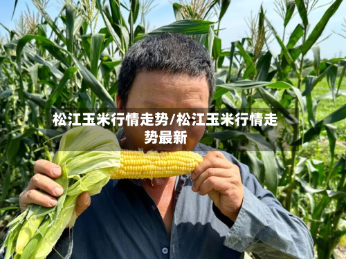 松江玉米行情走势/松江玉米行情走势最新