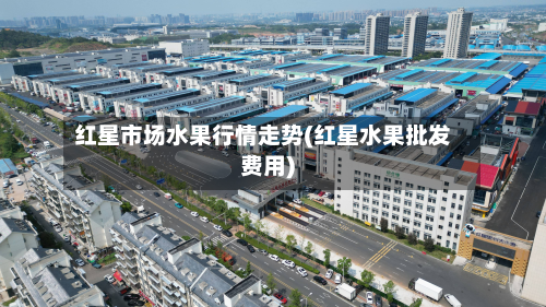 红星市场水果行情走势(红星水果批发费用)