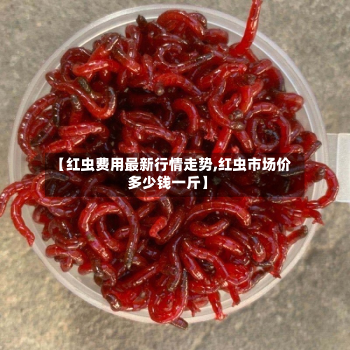 【红虫费用最新行情走势,红虫市场价多少钱一斤】-第2张图片