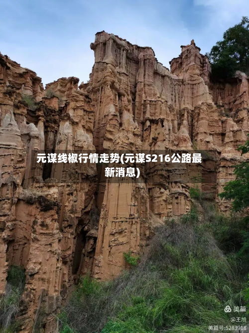 元谋线椒行情走势(元谋S216公路最新消息)