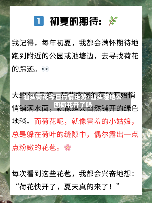 汕头荷花今日行情走势/汕头湿地公园荷花开了吗-第2张图片