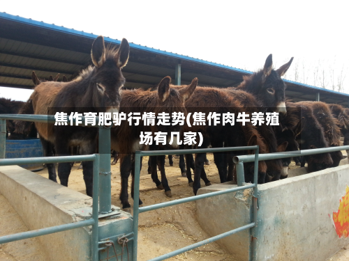 焦作育肥驴行情走势(焦作肉牛养殖场有几家)