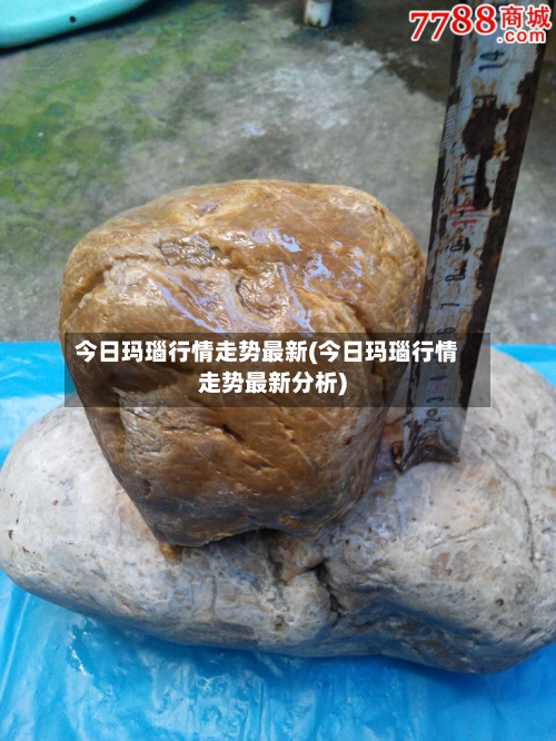 今日玛瑙行情走势最新(今日玛瑙行情走势最新分析)