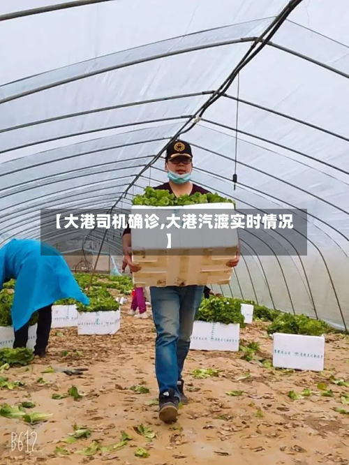 【大港司机确诊,大港汽渡实时情况】-第2张图片