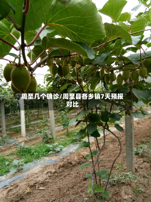 周至几个确诊/周至县各乡镇7天预报对比-第3张图片