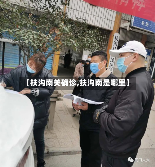 【扶沟南关确诊,扶沟南是哪里】-第2张图片