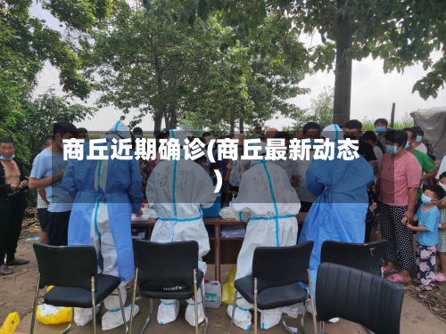 商丘近期确诊(商丘最新动态)-第2张图片