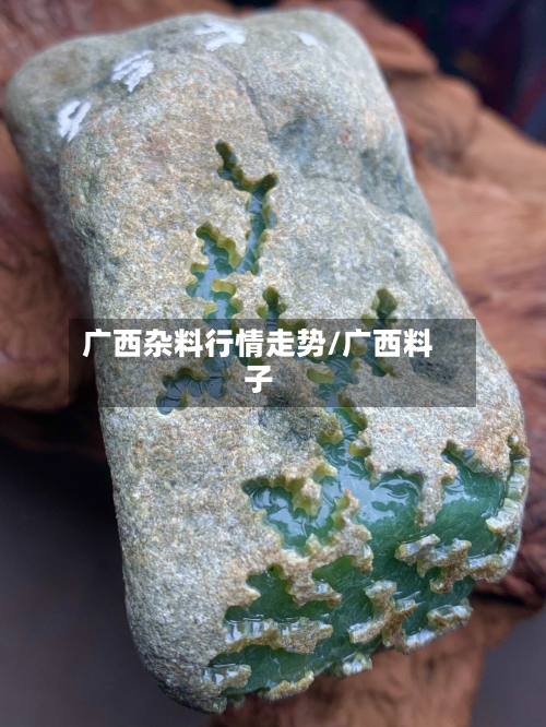 广西杂料行情走势/广西料子