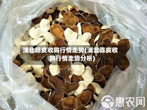 浦北陈皮收购行情走势(浦北陈皮收购行情走势分析)